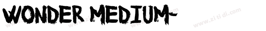 Wonder Medium字体转换